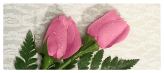 DNSEMP-L-054 2 Roses Pink